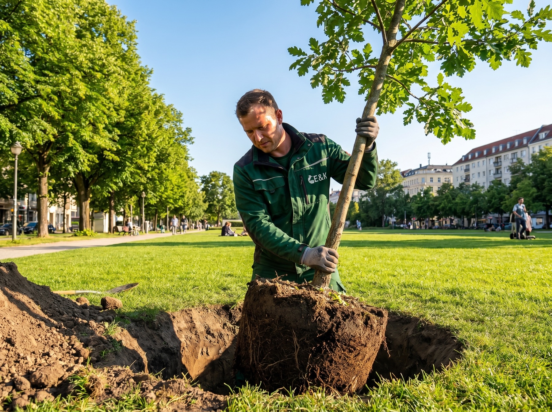 E&K Mitarbeiter pflanzt einen Baum in einem Berliner Park